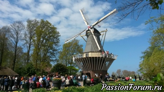 Королевский парк цветов. Голландия.