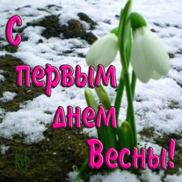 козырьков, поздравление с русской весной тебя, буду всю