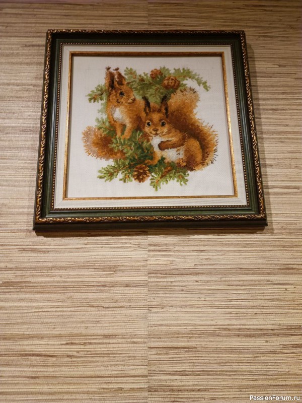 Белочки