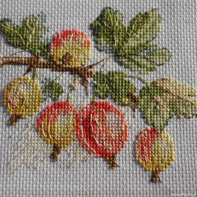 Знакомство. Ягодная серия ✿𓂃🍒♡