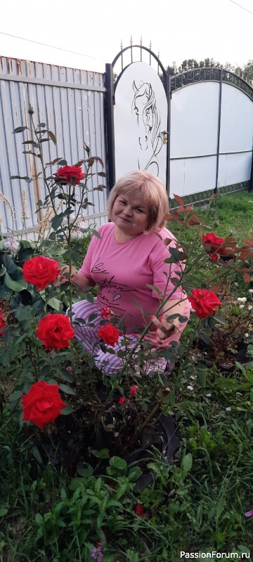 Мои цветочки