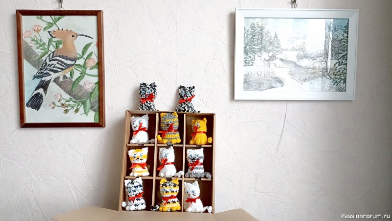 Котовасия
