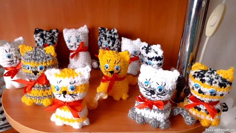 Котовасия