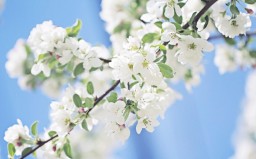 ladushka_58 ladushka_58