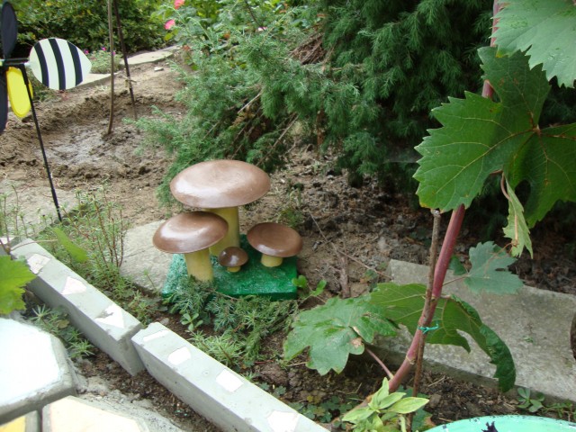Выросли грибы в огороде