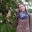 Olien