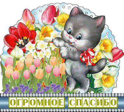 Нет слов, чтобы объяснить мое состояние....
