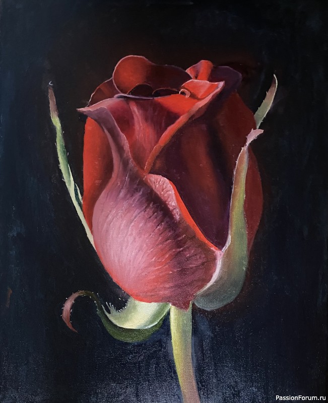 Рисую с удовольствием