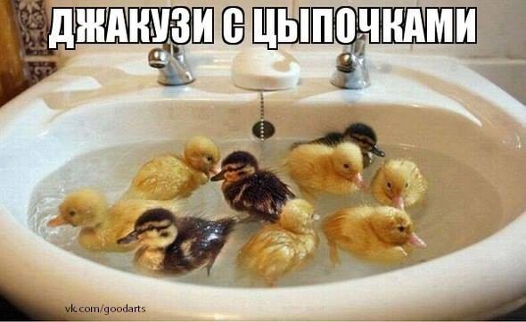 Буквально.