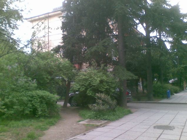 пасхальная тема