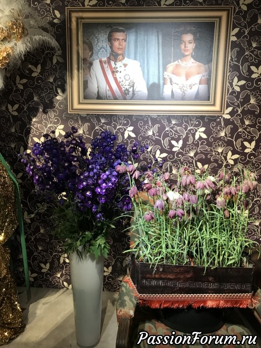 Король и королева с нами в парке Король и королева с нами в парке