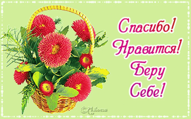 Благодарю за информацию картинки