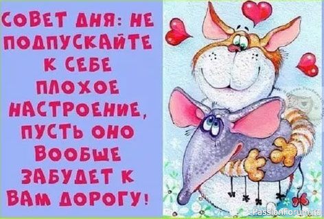 Текстильные игрушки с простыми выкройками ( из интернета)
