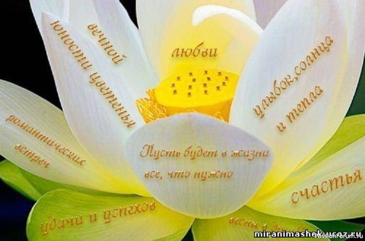 Маленькая коллекция моих коллекционных кукол.