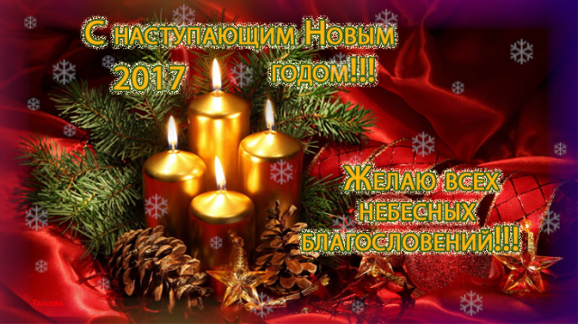 С Новым годом всех форумчанок !!!