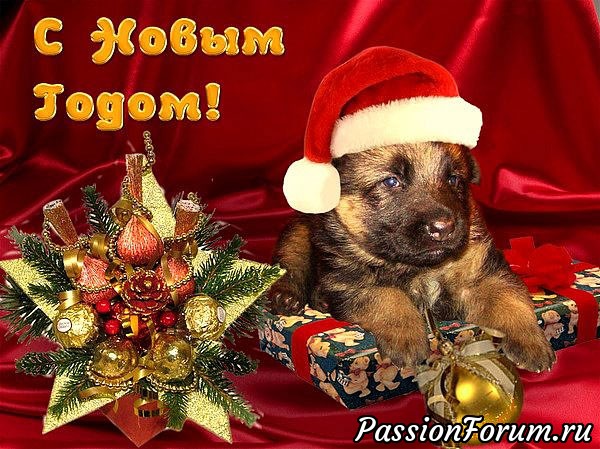С Новым Годом!!!!!!!!!!!!!!!!