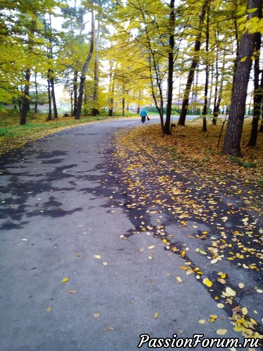 Не было бы счастья, так несчастье помогло