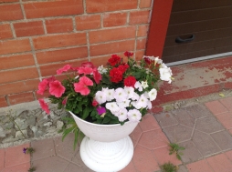 Светлана Светлана