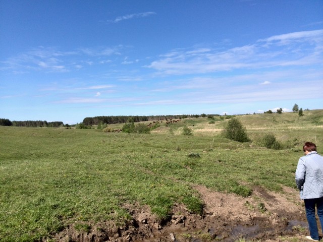 Родной край