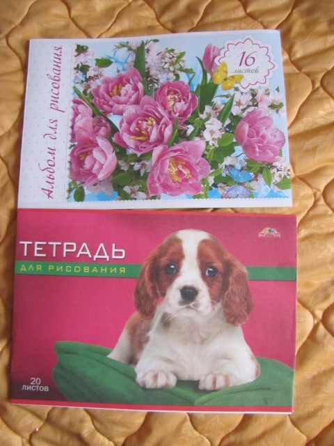 Альбомы девчонки тоже поделили между собой. Альбомы девчонки тоже поделили между собой.
