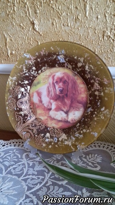 Домашние любимцы