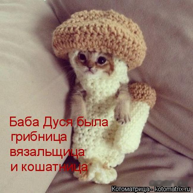 Ты ж Вязальщица