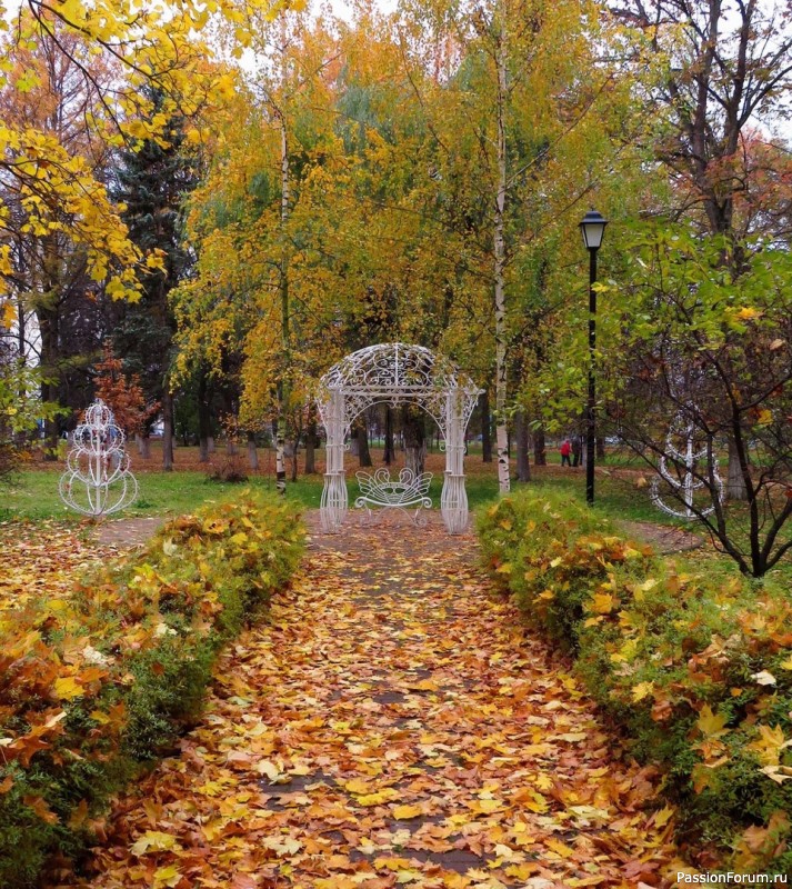 Что такое осень? Это сумки, полные осени... Что такое осень? Это сумки, полные осени...