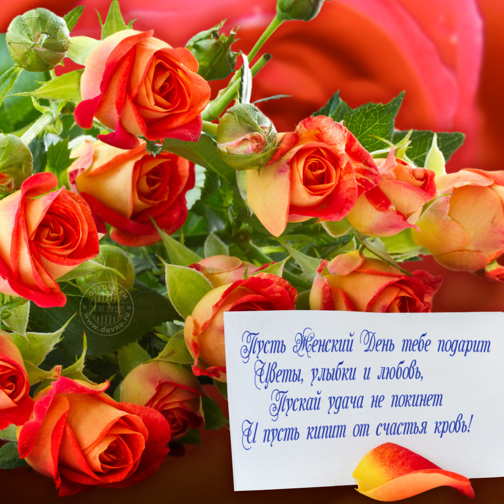 Картинки день красивых женщин. Поздравление с цветами. Красивые цветы с пожеланиями. Красивые розы с пожеланиями. Красивые открытки с цветами и пожеланиями.
