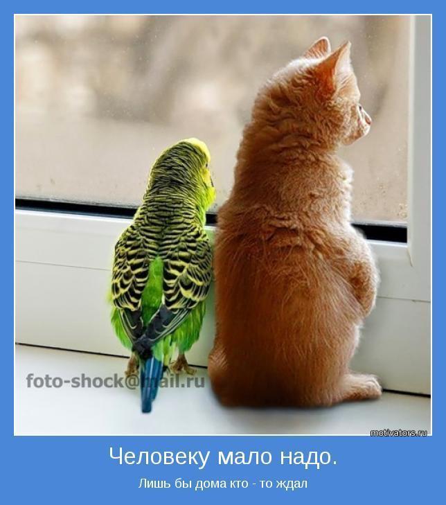 А ВАМ НУЖНА МОТИВАЦИЯ?