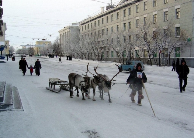 Моё, ставшее родным Заполярье...