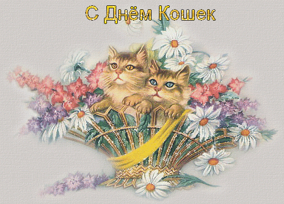 Хочу поздравить со Всемирным Днём кошек!!!
