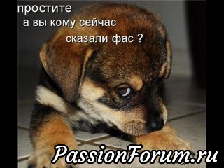 Ой! Собака затесалась!))))) Ой! Собака затесалась!)))))