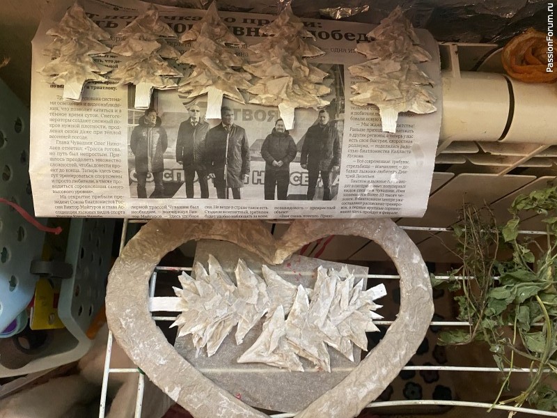 Сердце зимы