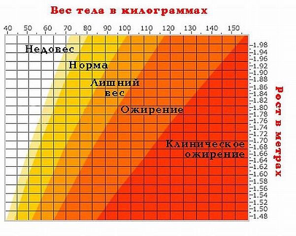 Самые основные причины избыточного веса