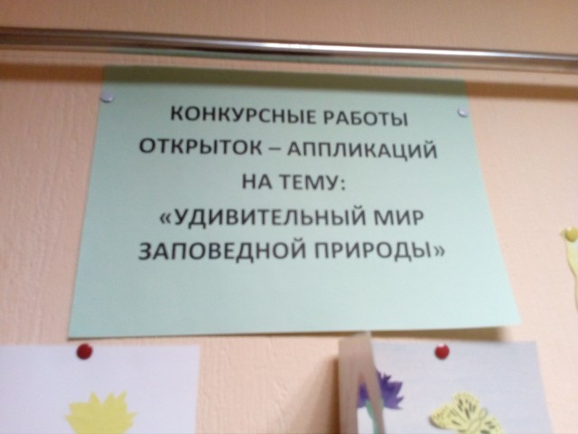 Работы детей на конкурс "Удивительный мир заповедной природы"