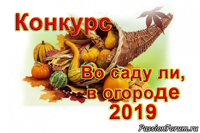 «Во саду ли, в огороде». Ждем работы на конкурс до 30 октября!
