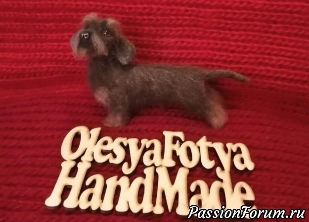 Жесткошерстная такса