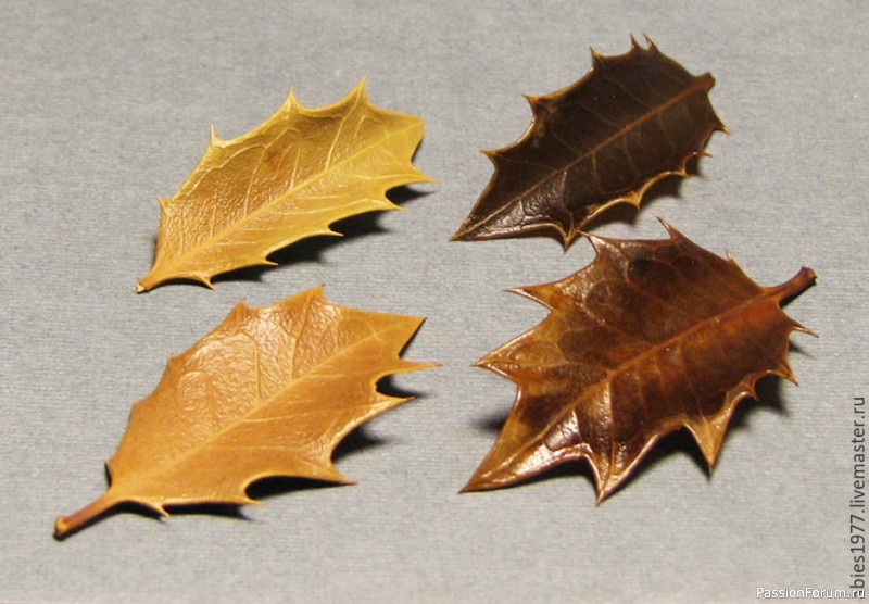 Как законсервировать листья в глицерине