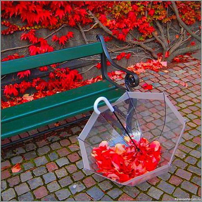 Новое свежее 17.10.2025 Новое свежее 17.10.2025