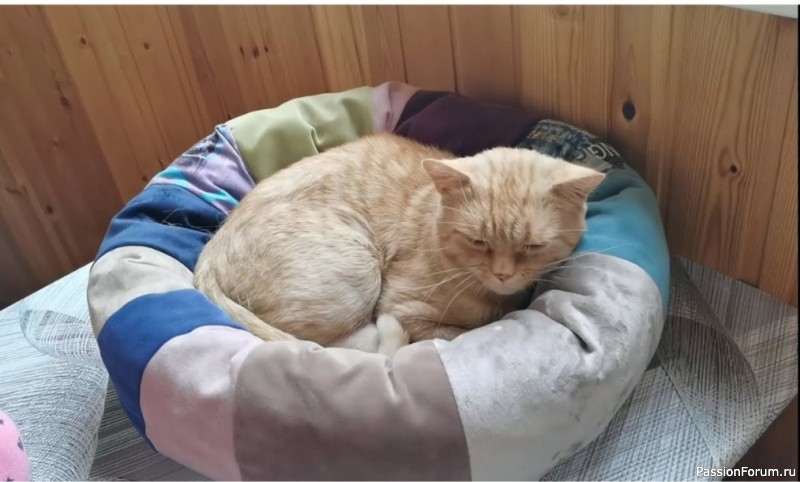 Лежак для нашего кота из обрезков мебельной ткани)