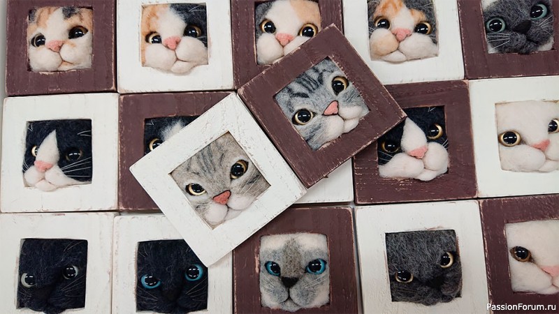 КОШЕЧКИ