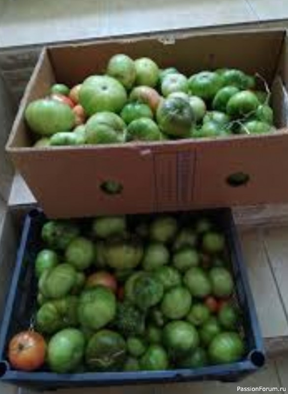 "Рецепт". М.Гарник