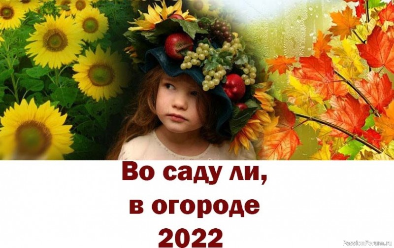 "Во саду ли, в огороде-2022". Ждем конкурсные работы до 1 ноября