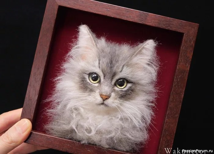 КОШЕЧКИ