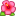 Женские носки жаккардом &quot;flower summer&quot;