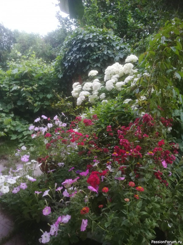 Вспомним лето...