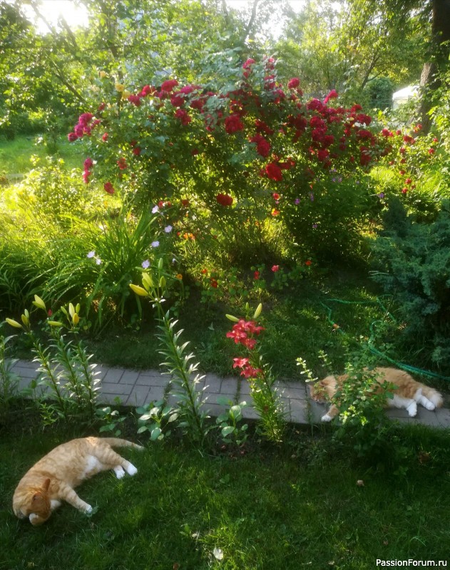 Вспомним лето...