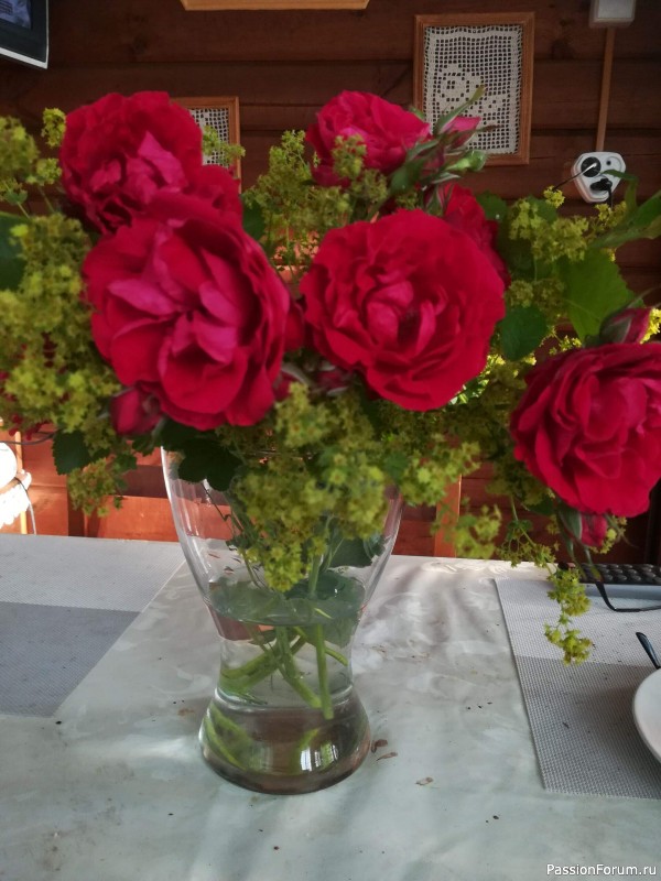 На форуме 10 лет!