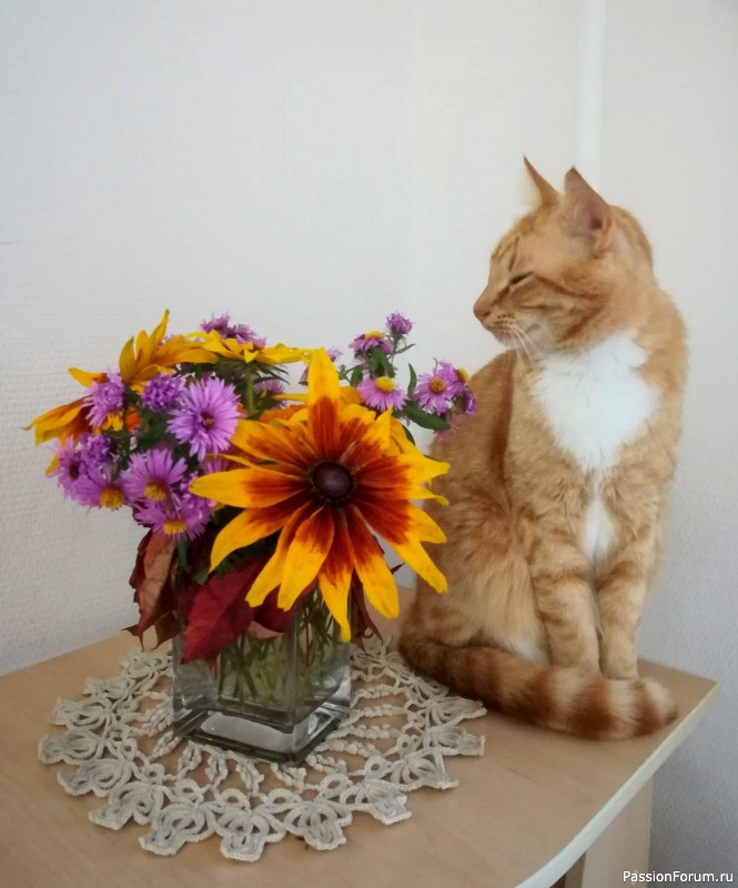 На форуме 10 лет!