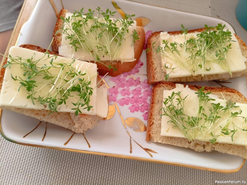 Микрозелень